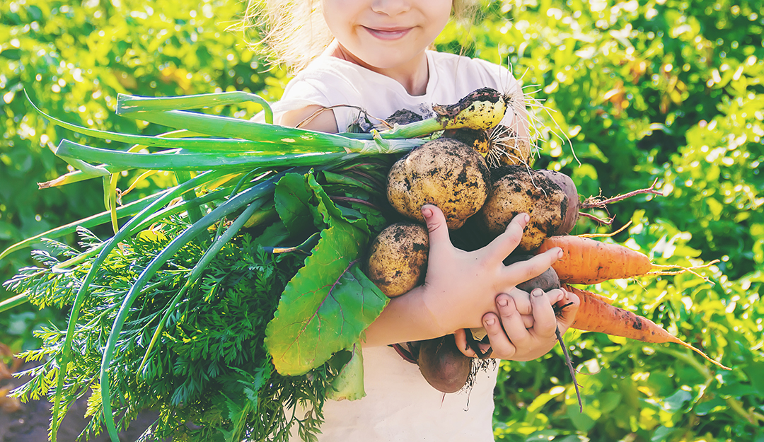 8 cosas que debes saber sobre los alimentos orgánicos