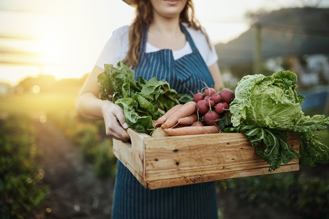 8 cosas que debes saber sobre los alimentos orgánicos | Blog | San Pablo Natural