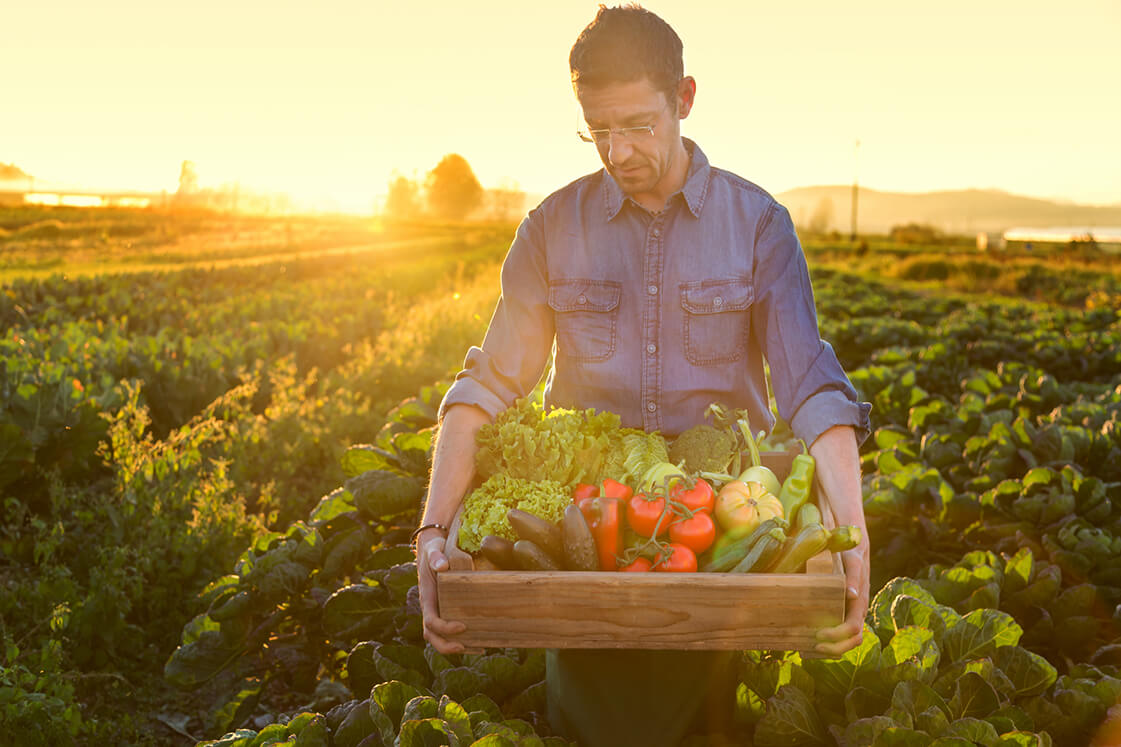¿Vegetariano o vegano? | Blog | San Pablo Natural