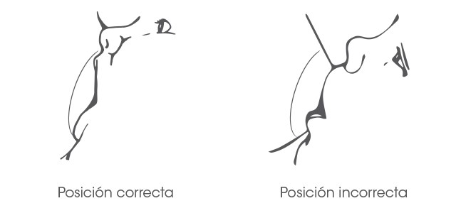 ¿Qué posiciones son adecuadas para amamantar de forma correcta a tu bebé recién nacido? | Bebés | San Pablo Farmacia
