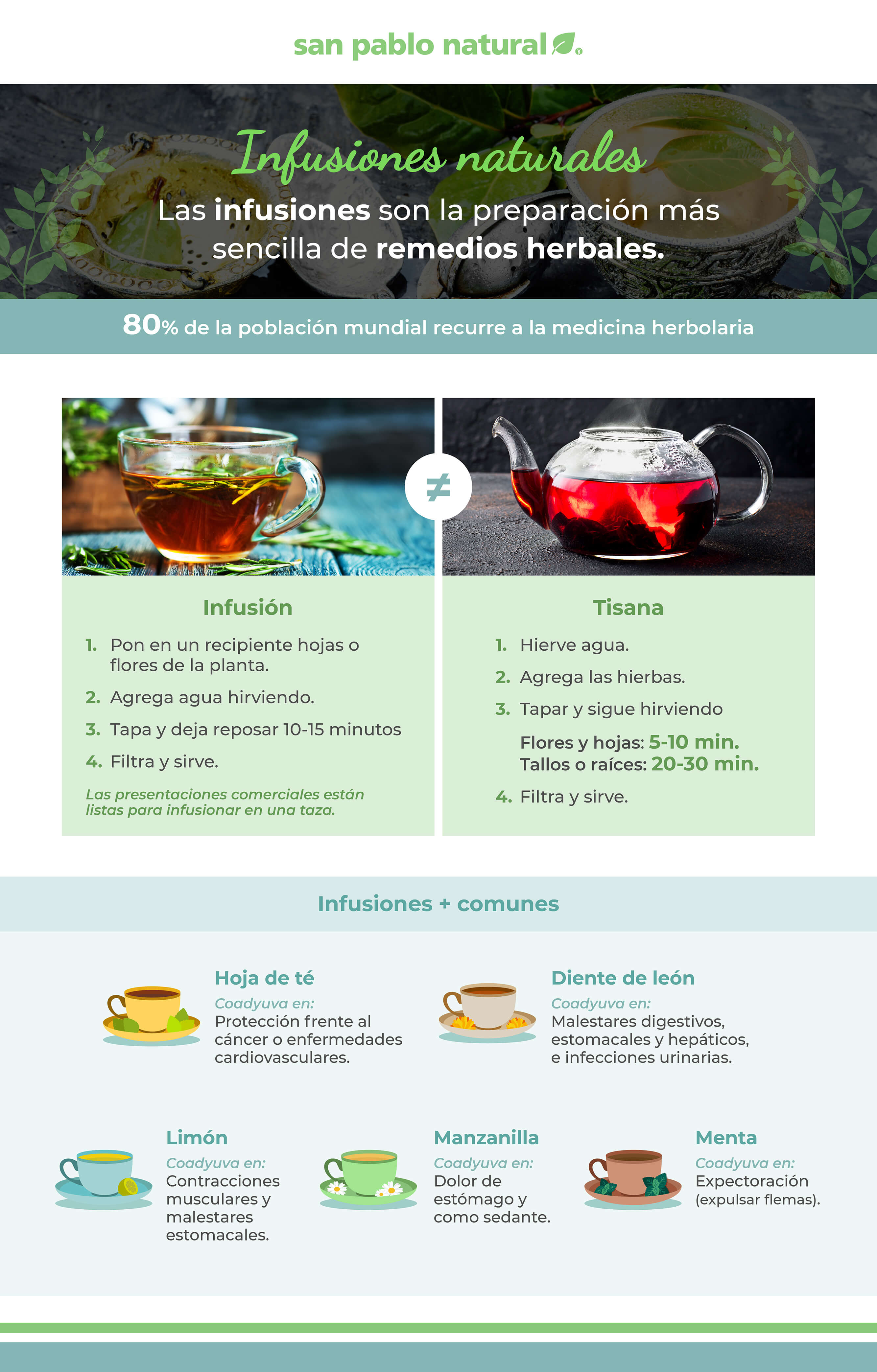 Cómo elegir el infusor correcto para el té  Infusiones de hierbas, Hierbas  y especias, Recetas de bebidas